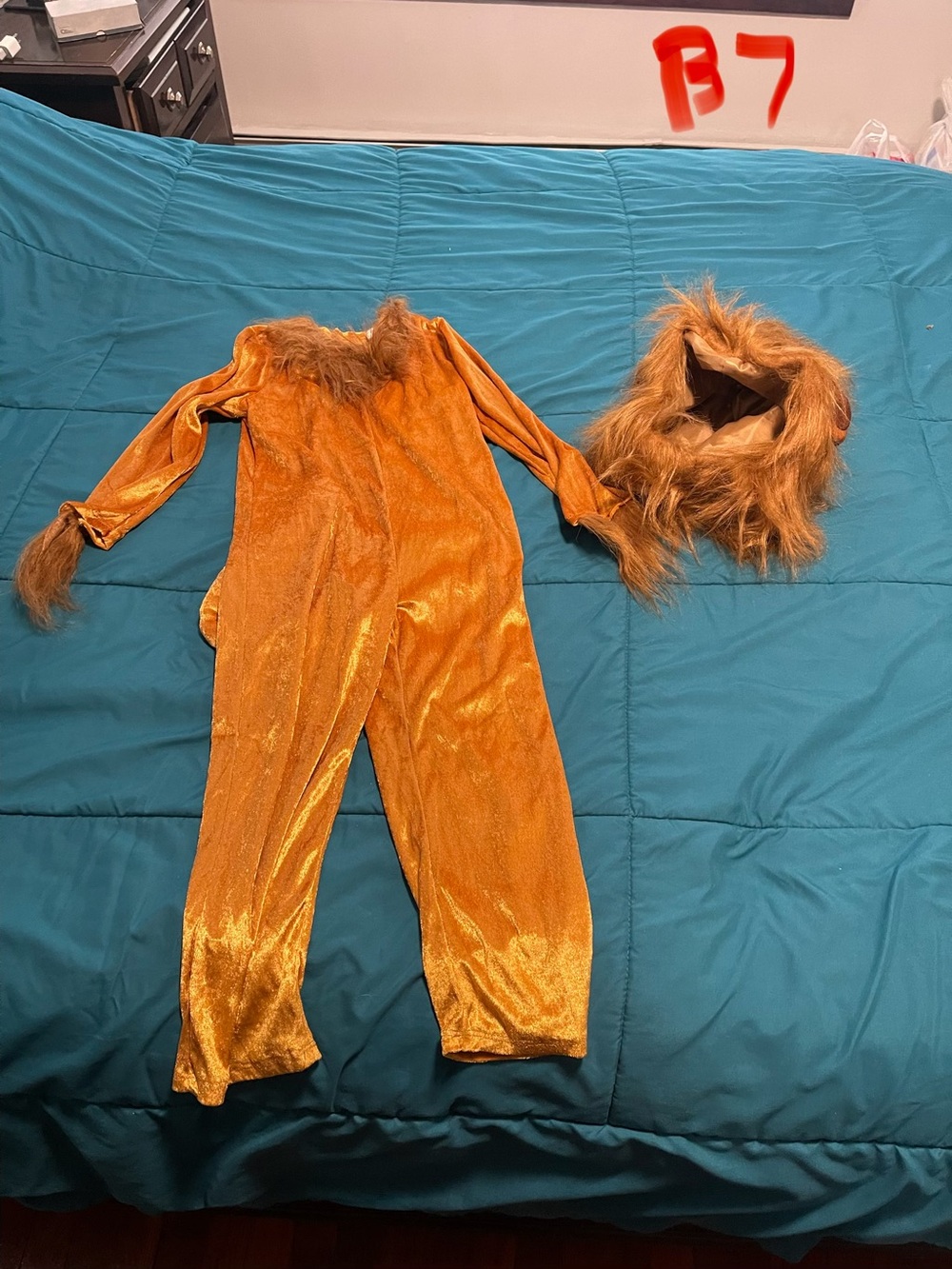 Little kid lion costume S (4-6)